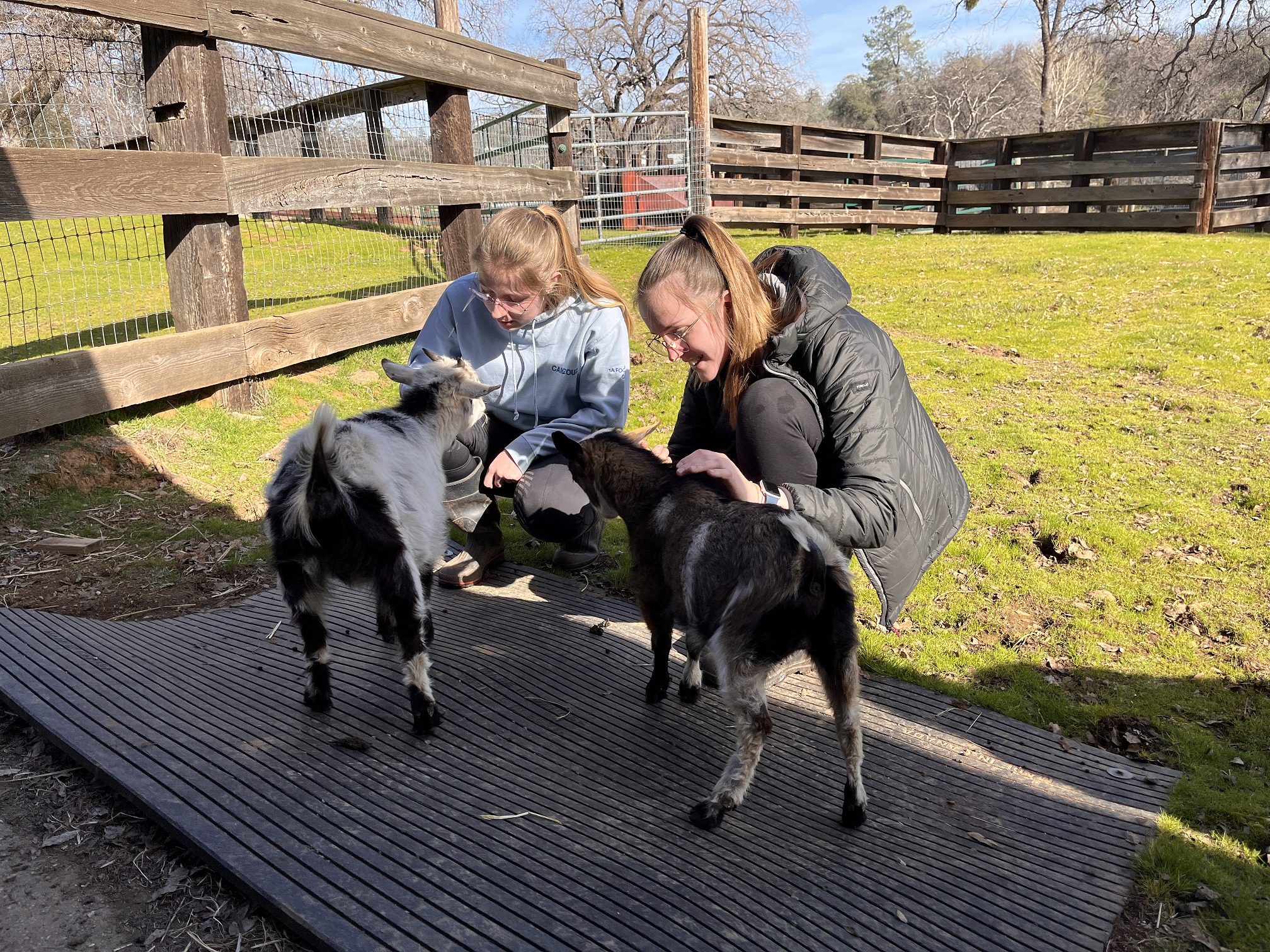 Animal Place