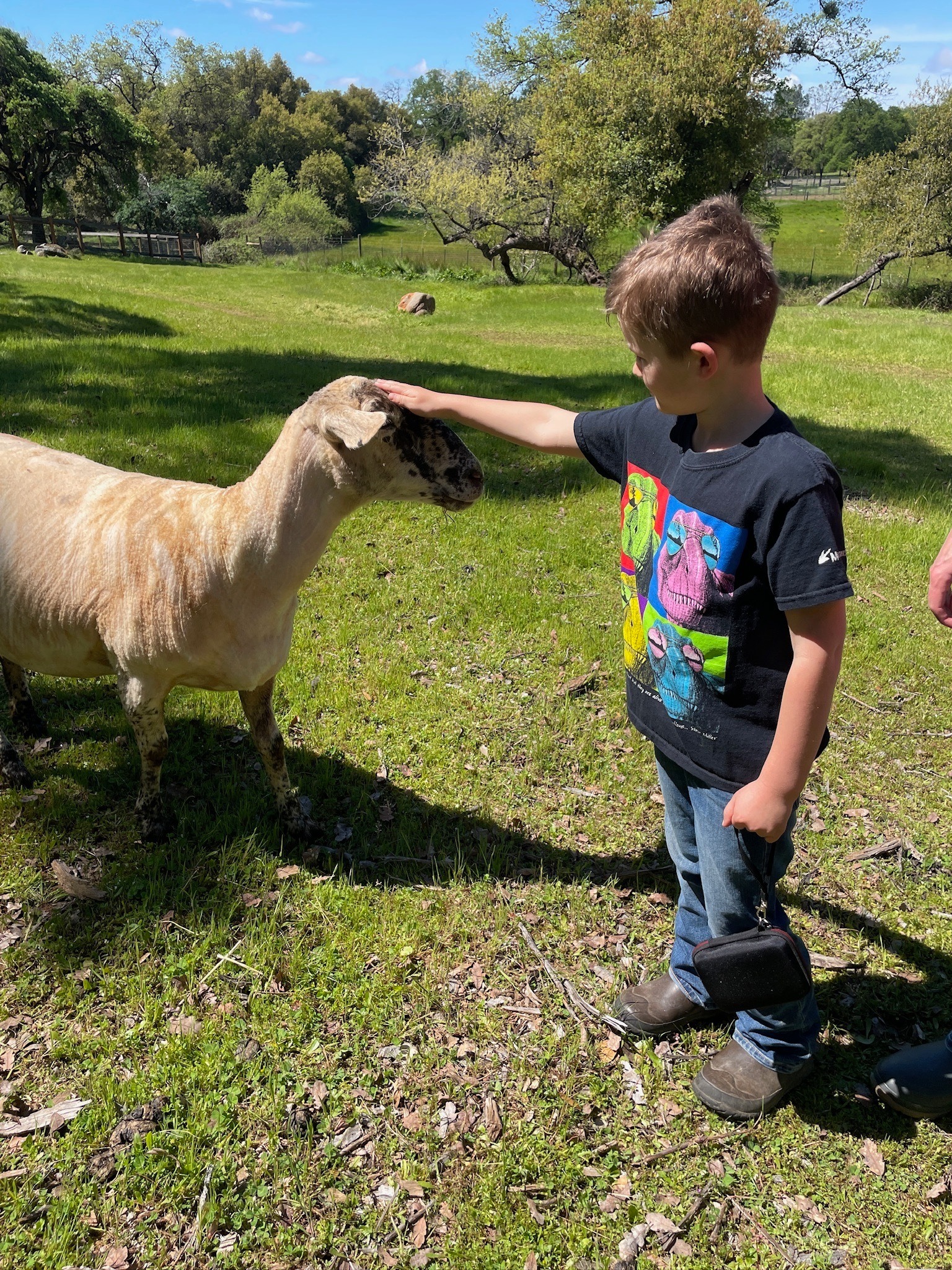 Animal Place