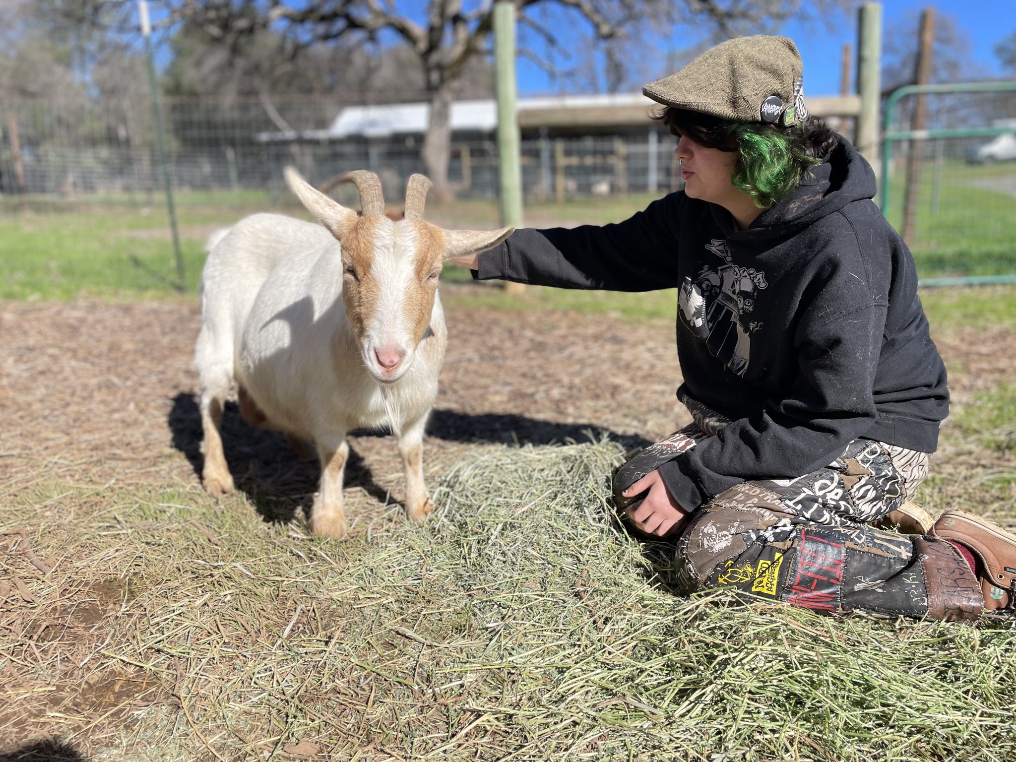 Animal Place