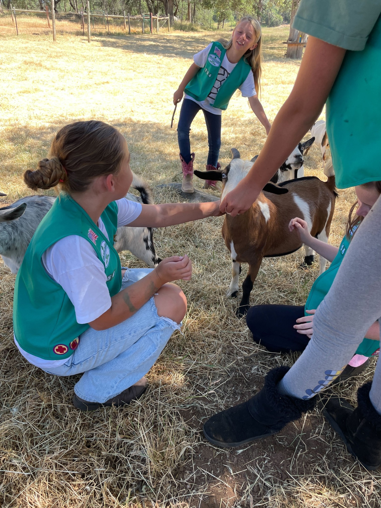 Animal Place