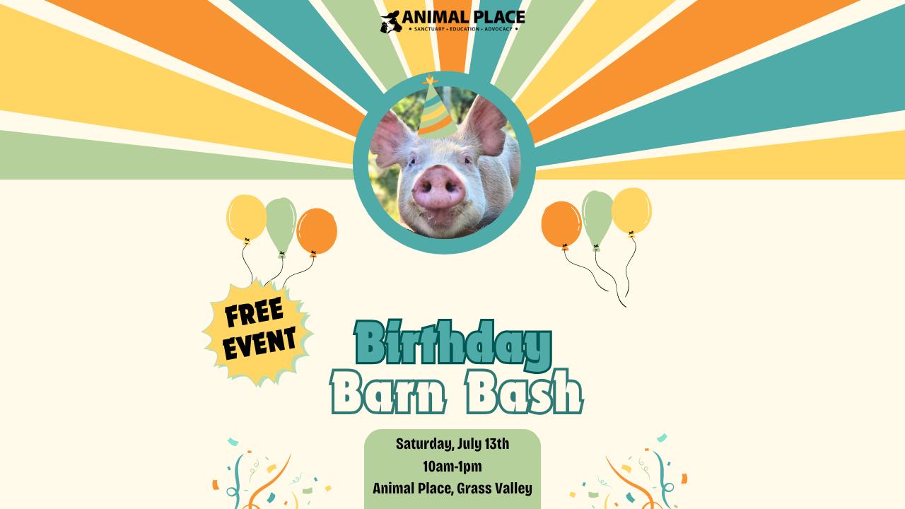 Animal Place