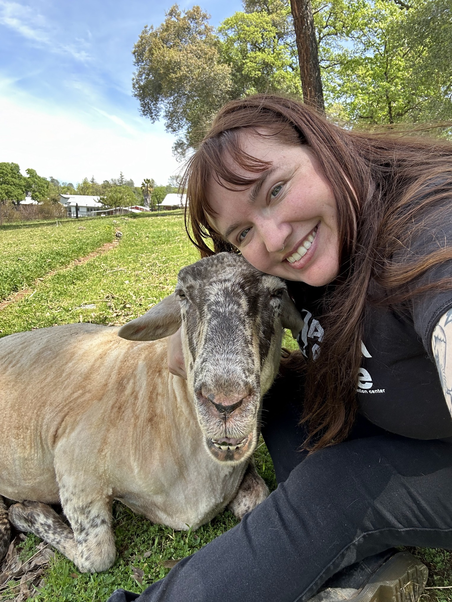 Animal Place