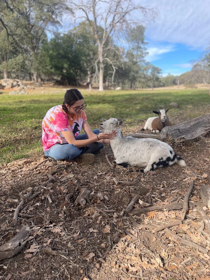 Animal Place