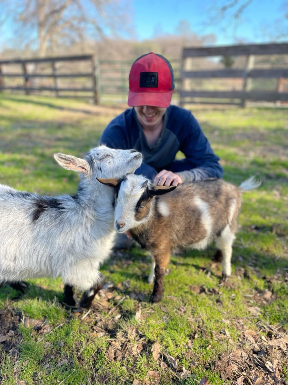 Animal Place
