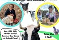 Animal Place