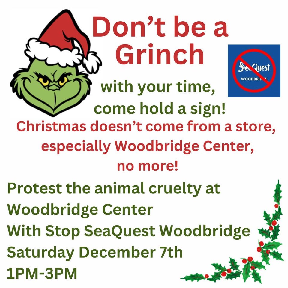 Stop SeaQuest Woodbridge