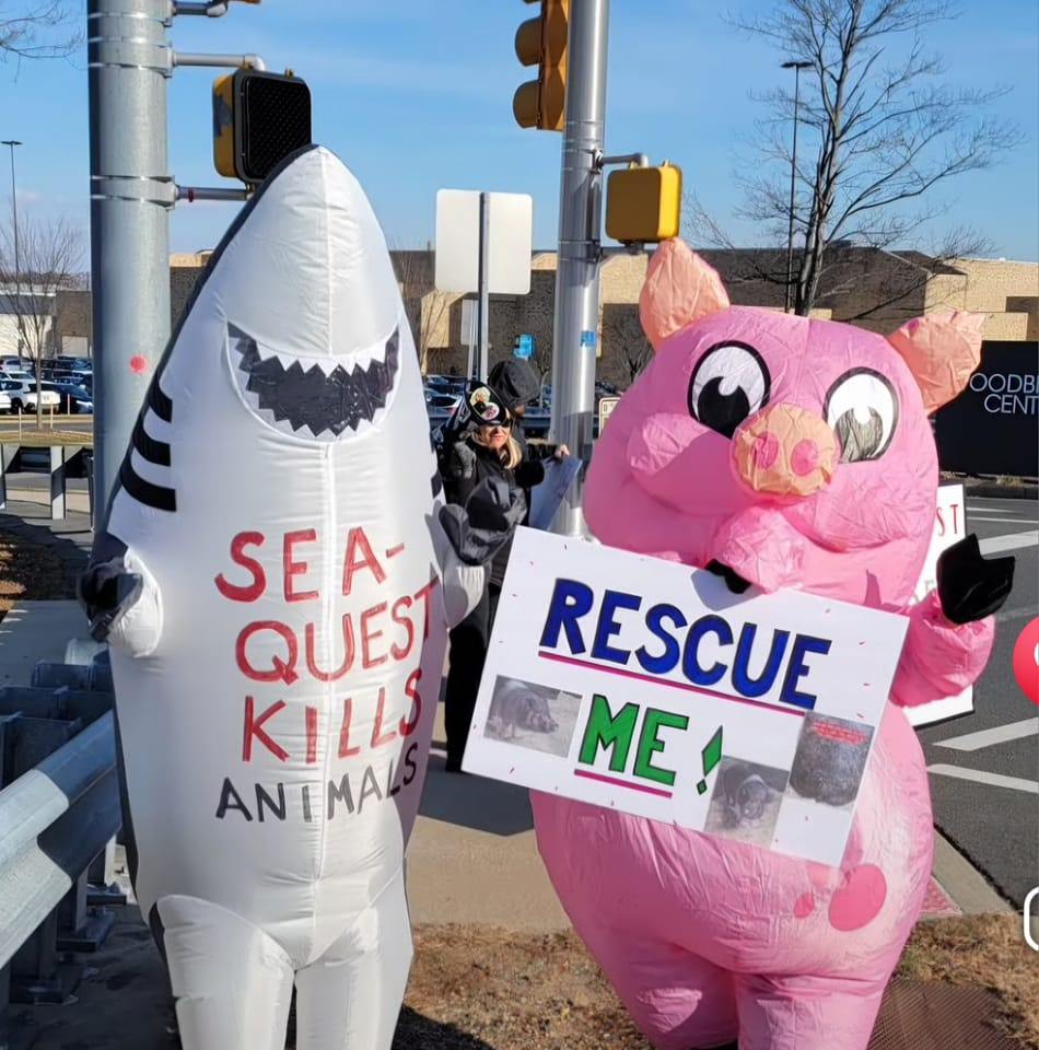 Stop SeaQuest Woodbridge
