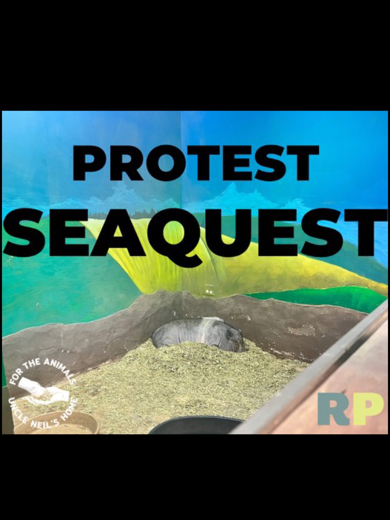 Stop SeaQuest Woodbridge