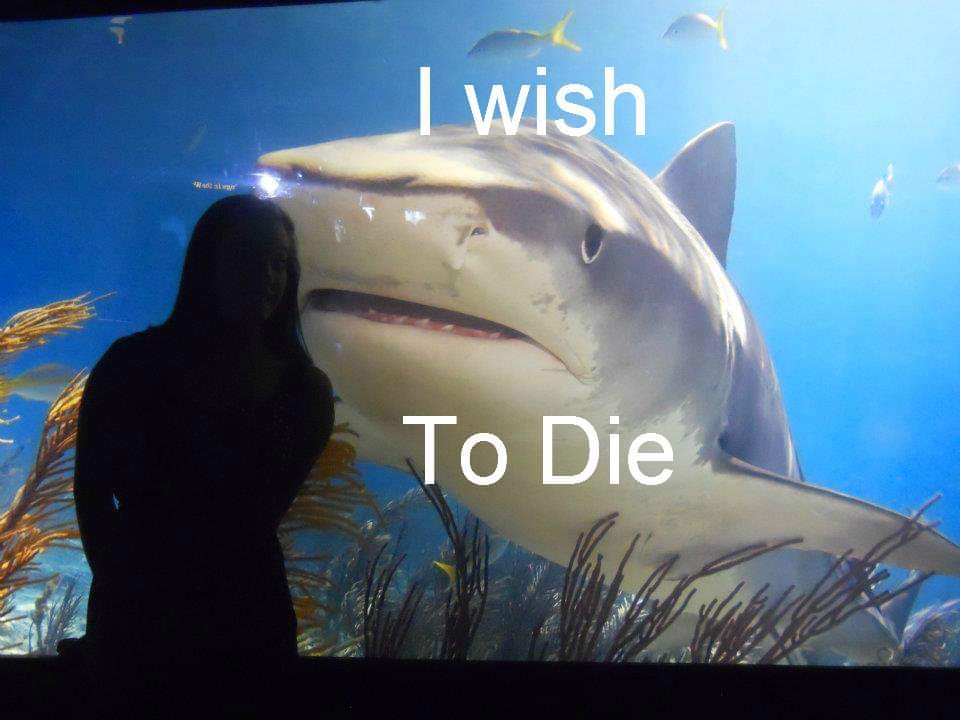 Stop SeaQuest Woodbridge