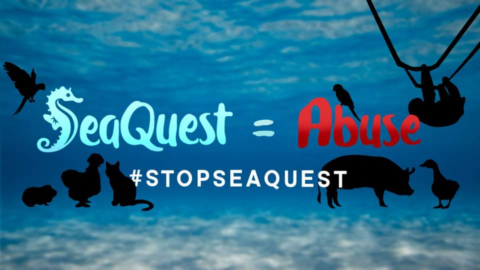 Stop SeaQuest Woodbridge