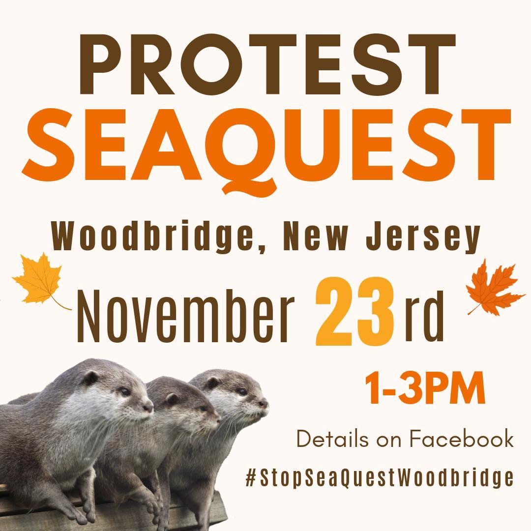 Stop SeaQuest Woodbridge