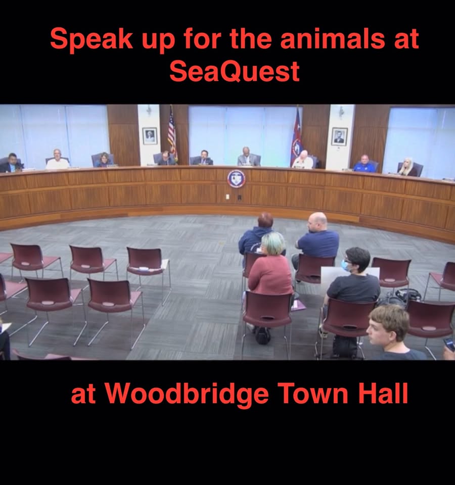Stop SeaQuest Woodbridge