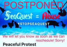 Stop SeaQuest Woodbridge