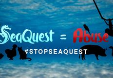 Stop SeaQuest Woodbridge