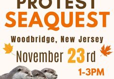 Stop SeaQuest Woodbridge