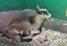 Stop SeaQuest Woodbridge