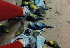 Stop SeaQuest Woodbridge