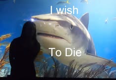 Stop SeaQuest Woodbridge