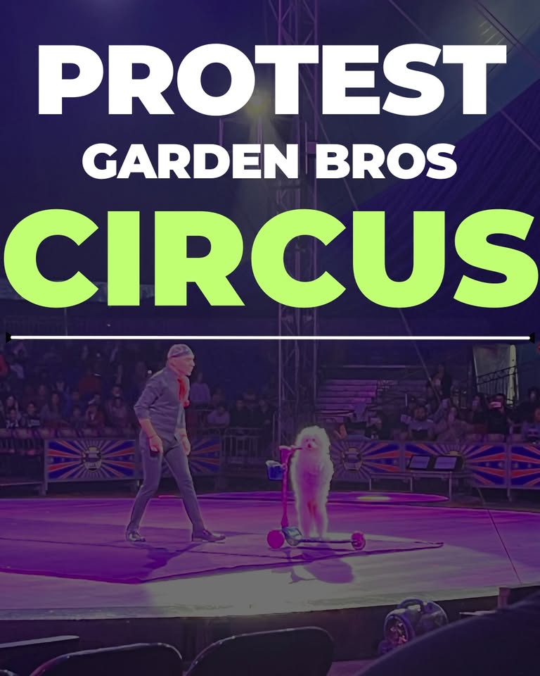 Revolution Philadelphia