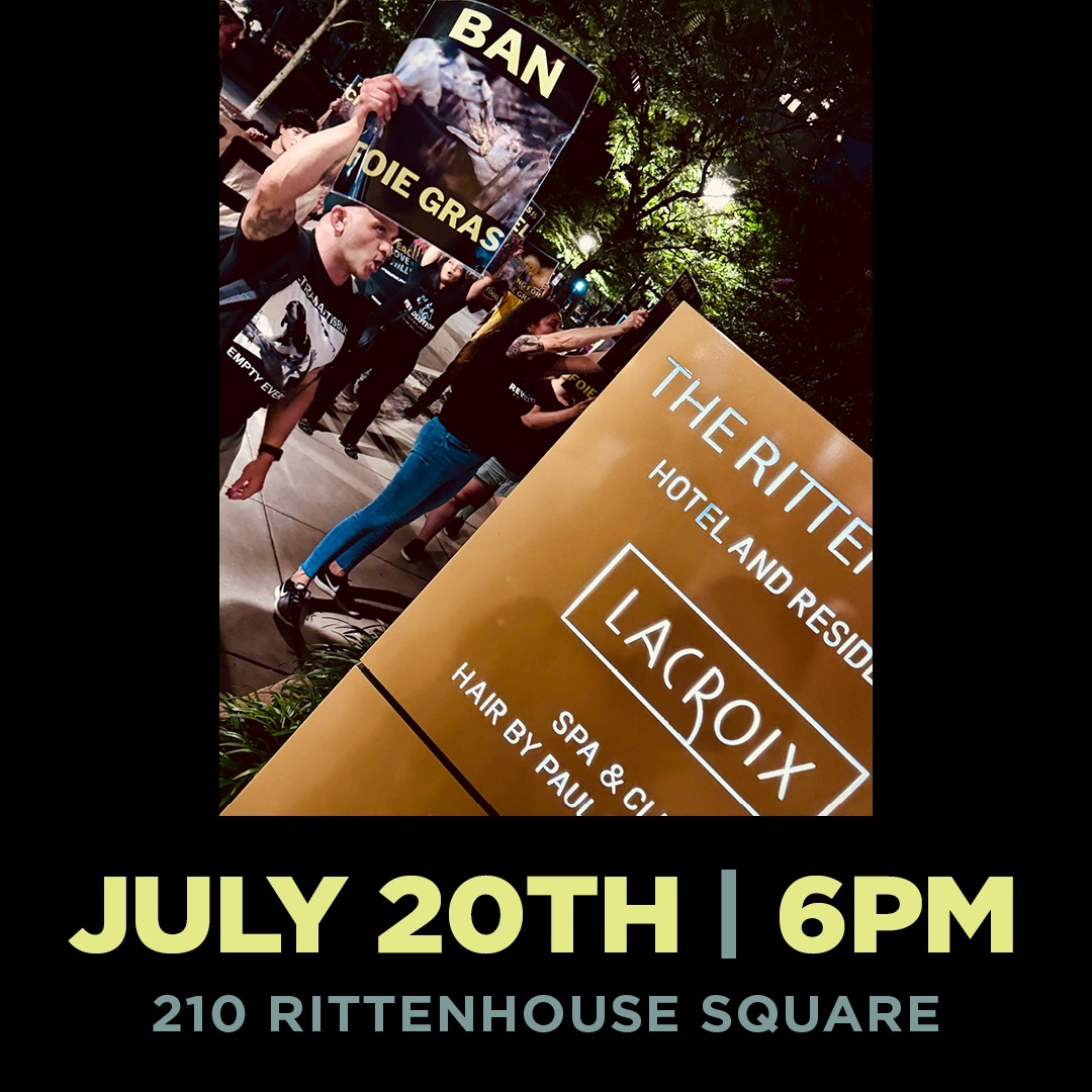 Revolution Philadelphia