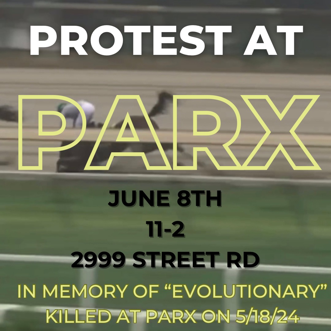 Revolution Philadelphia