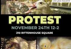 Revolution Philadelphia