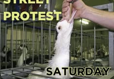 Revolution Philadelphia