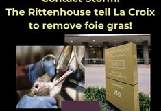 Revolution Philadelphia