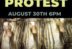 Revolution Philadelphia