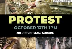 Revolution Philadelphia