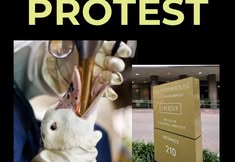 Revolution Philadelphia