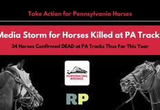 Revolution Philadelphia