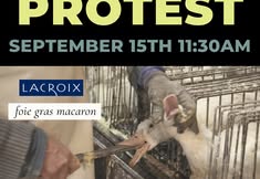 Revolution Philadelphia