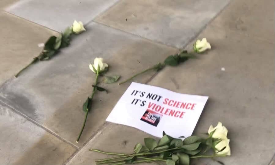 Direct Action Everywhere