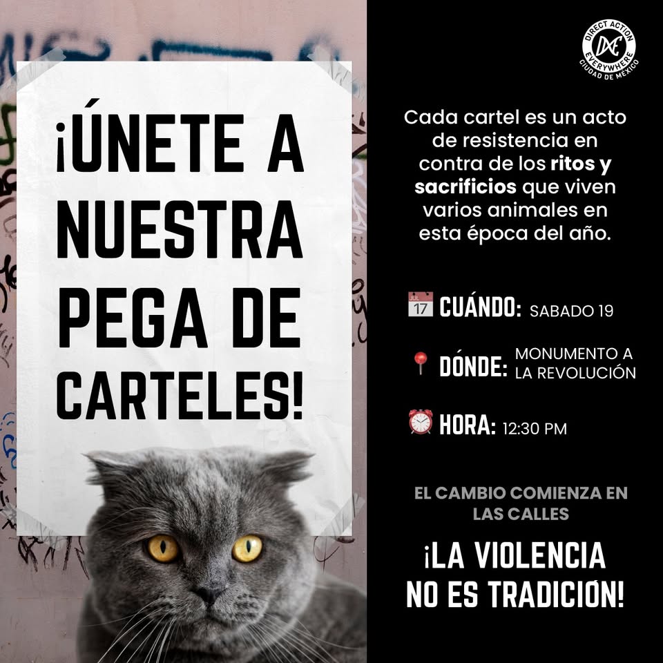 Direct Action Everywhere