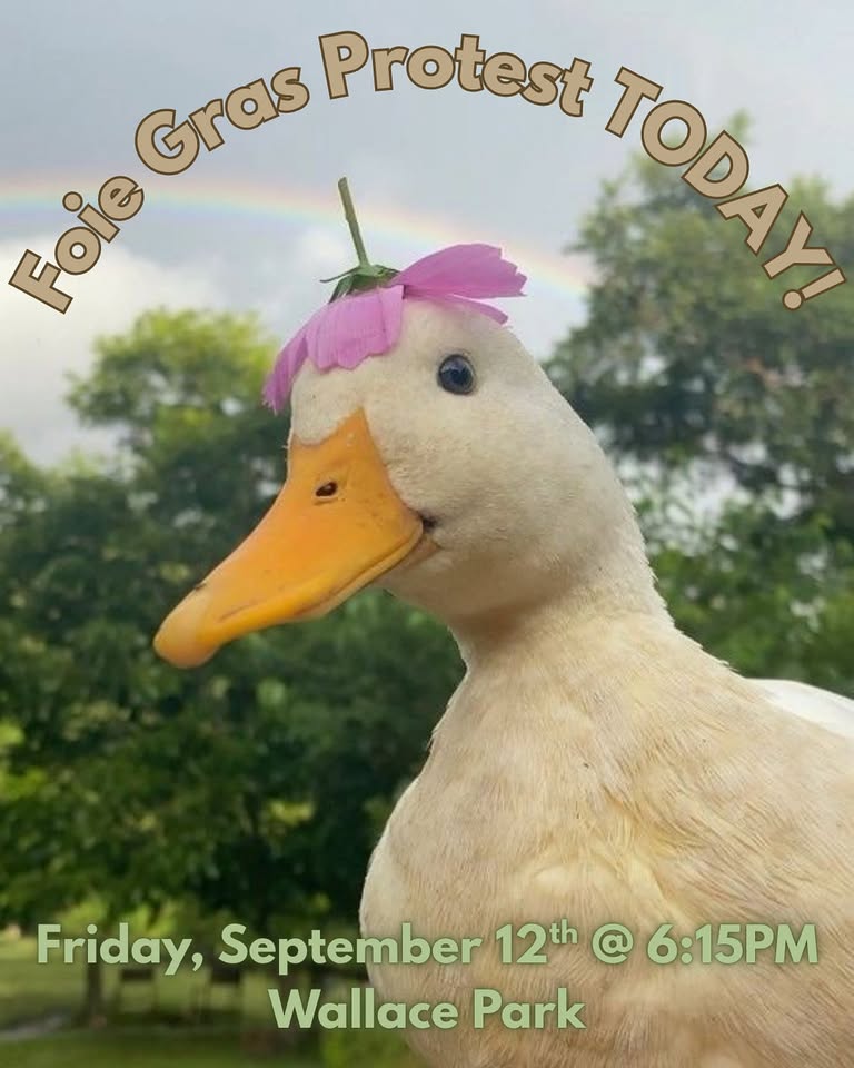 Direct Action Everywhere