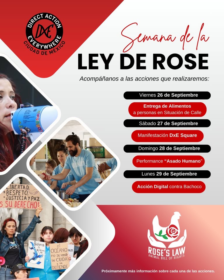 Direct Action Everywhere