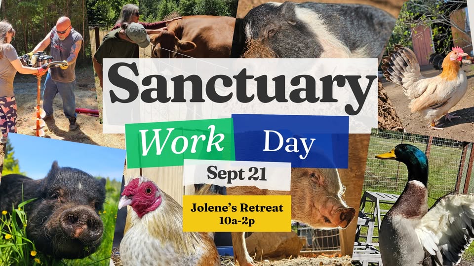 Direct Action Everywhere