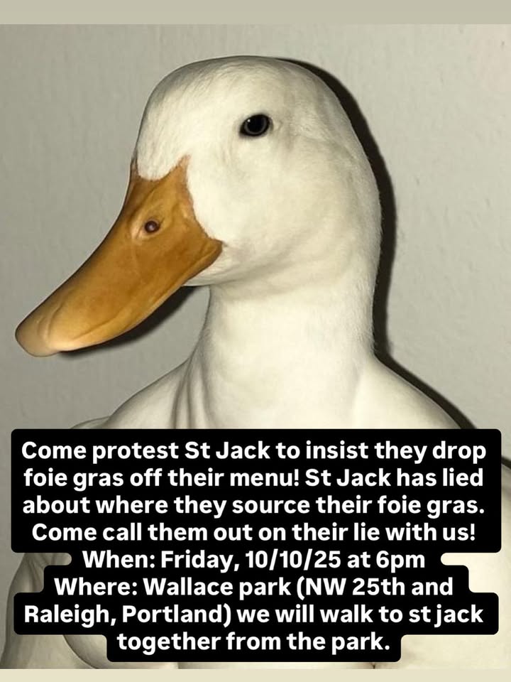 Direct Action Everywhere