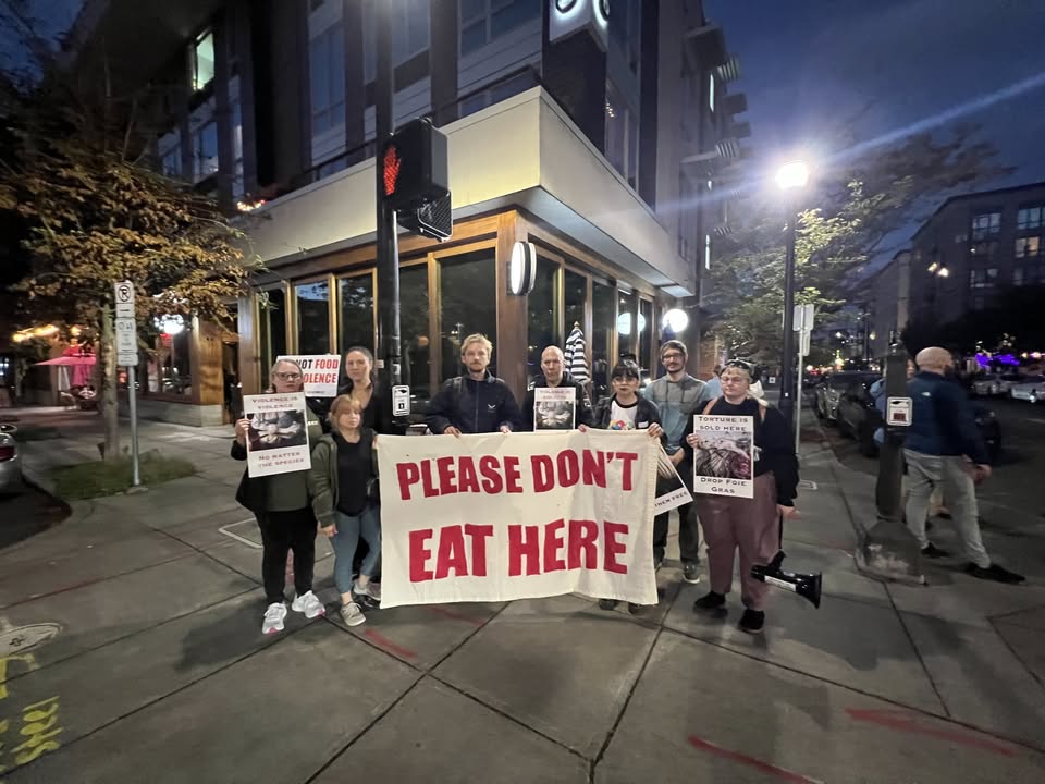 Direct Action Everywhere