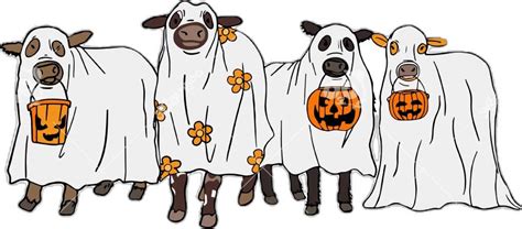 Direct Action Everywhere