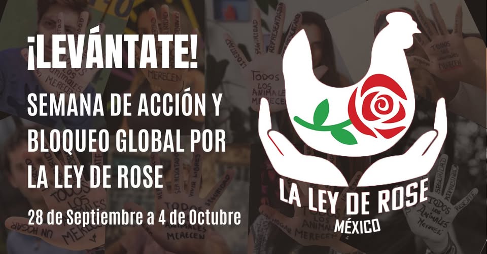 Direct Action Everywhere