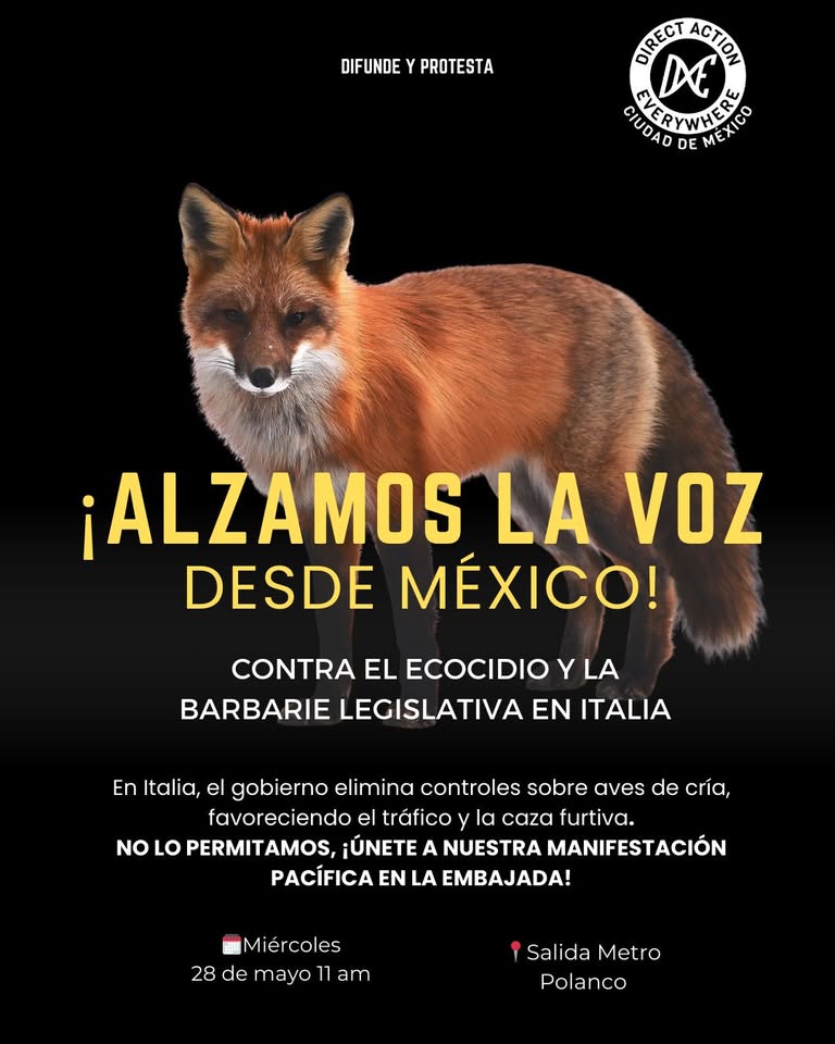 Direct Action Everywhere