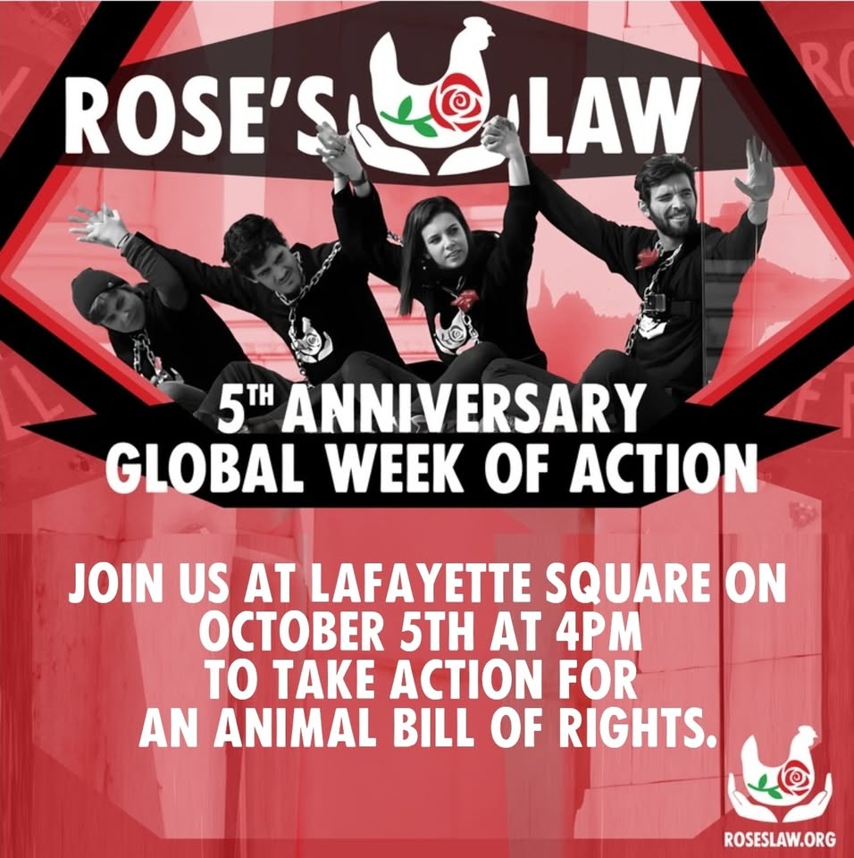 Direct Action Everywhere