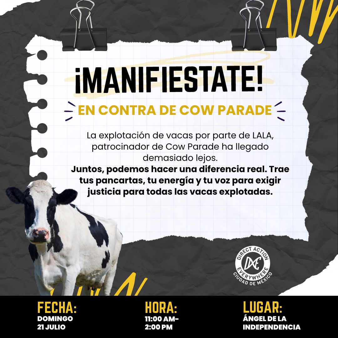 Direct Action Everywhere