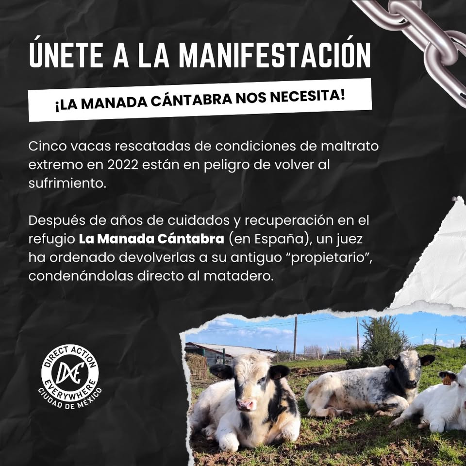 Direct Action Everywhere