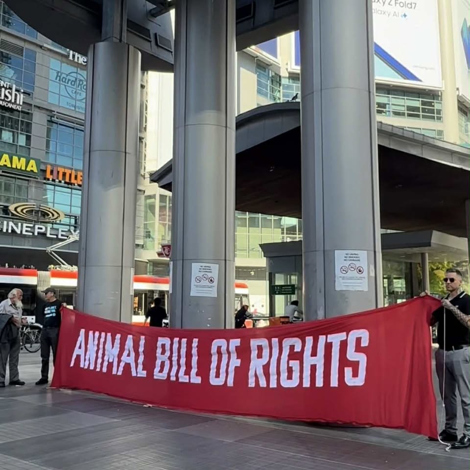 Direct Action Everywhere