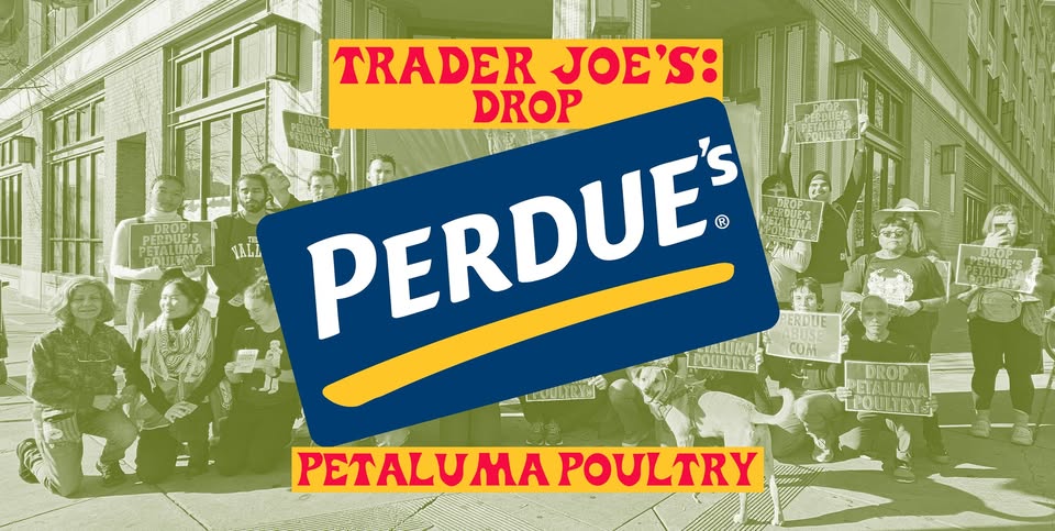 Direct Action Everywhere