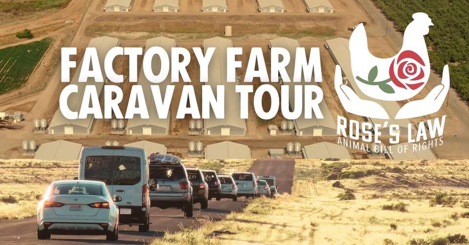 Direct Action Everywhere