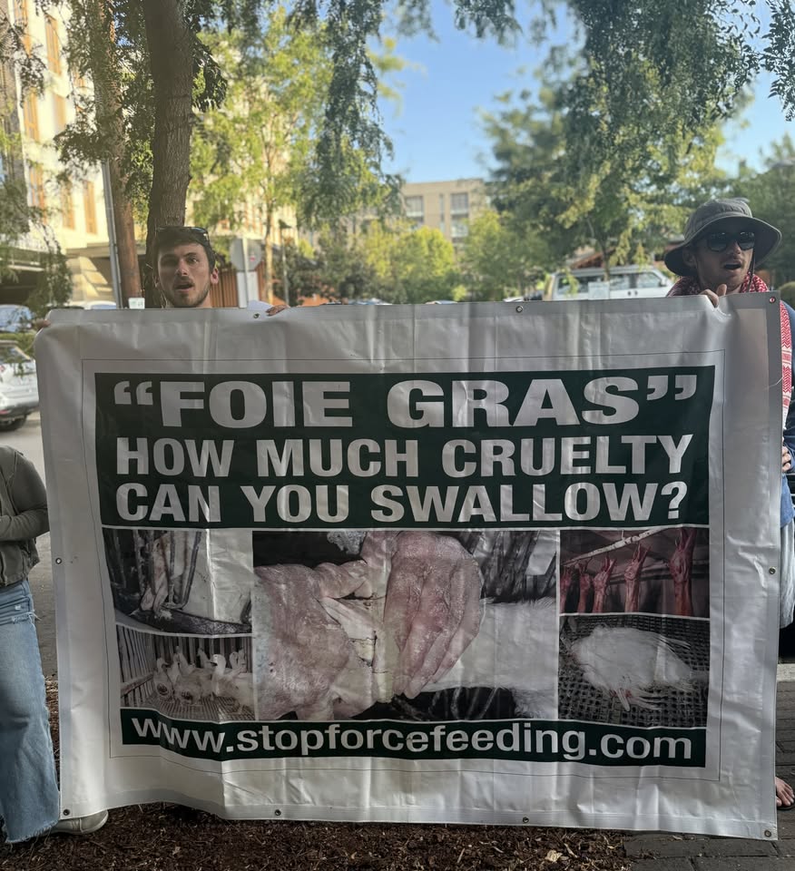 Direct Action Everywhere - DxE